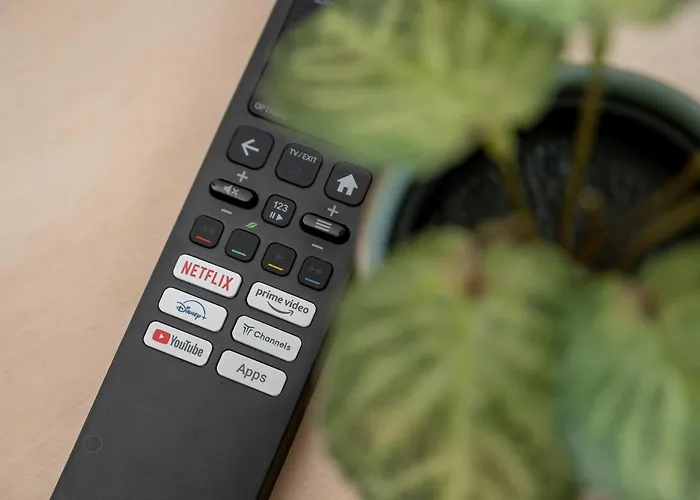 Bright & Modern Kepa Mieszczanska By Renters *